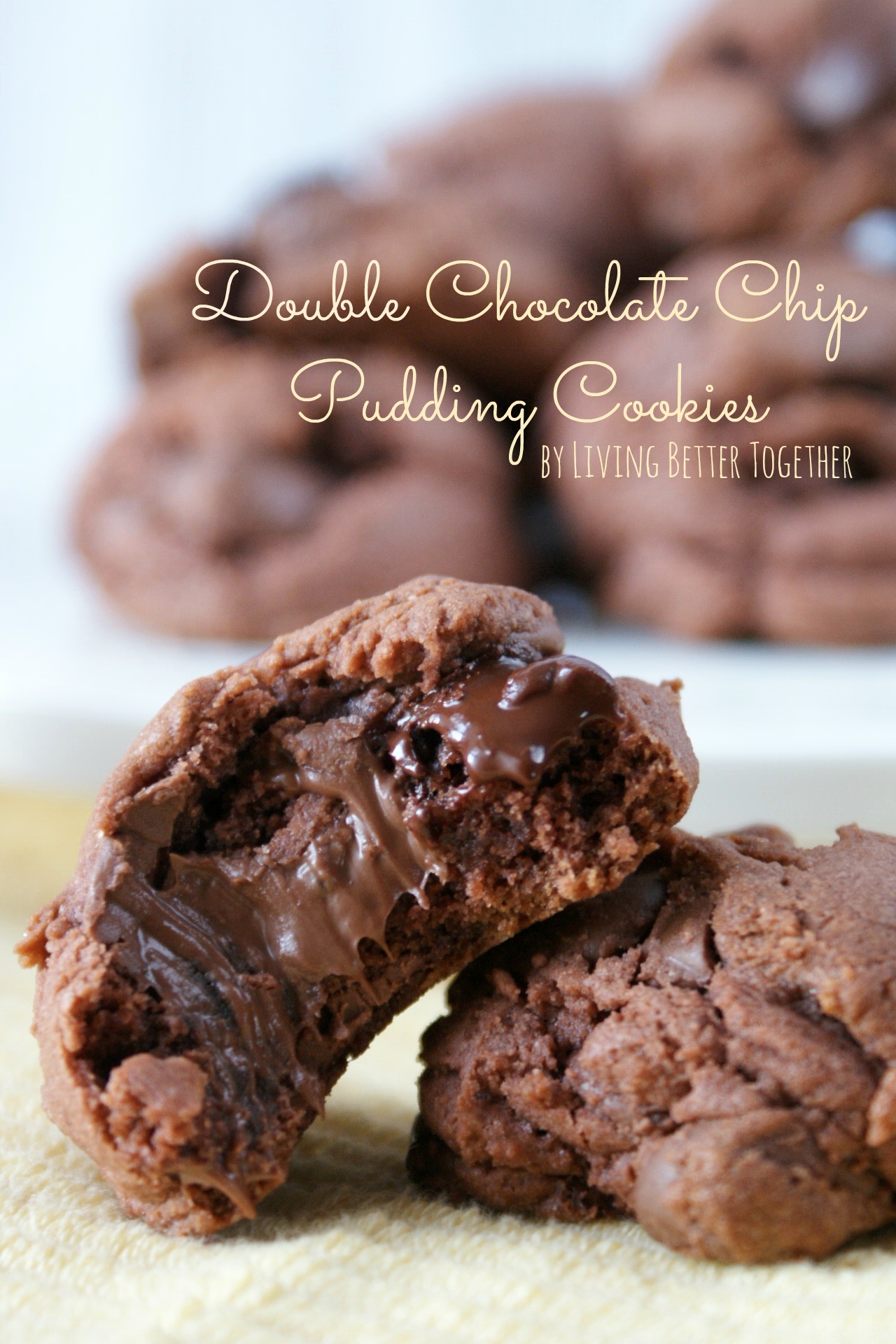 These Double Chocolate Chip Pudding Cookies have a slightly crisp outer shell and are chewy and gooey on the inside almost like a brownie. Pull the first batch out of the oven in 30 minutes!