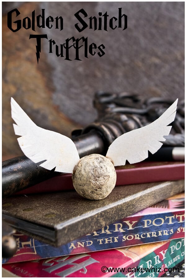 DIY Golden Snitch with Printable Wings - Playdates to Parties