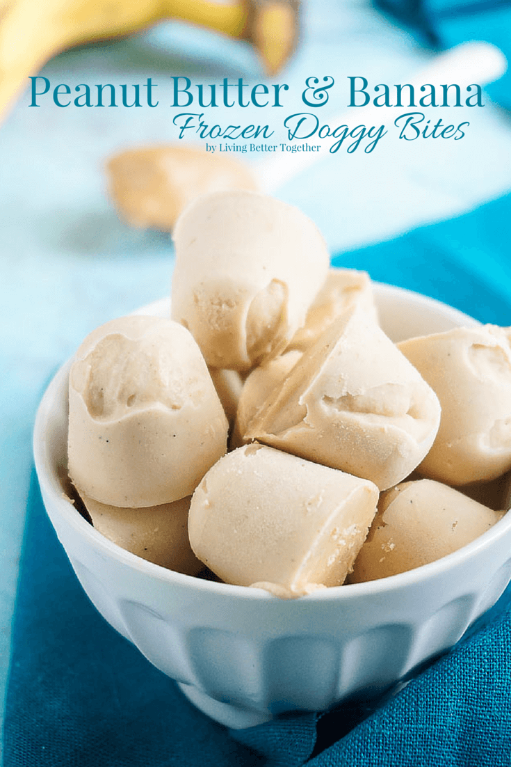 These Peanut Butter & Banana Frozen Doggy Bites are the perfect treat for the pups when the days are hot! Just two ingredients and 10 minutes to make!