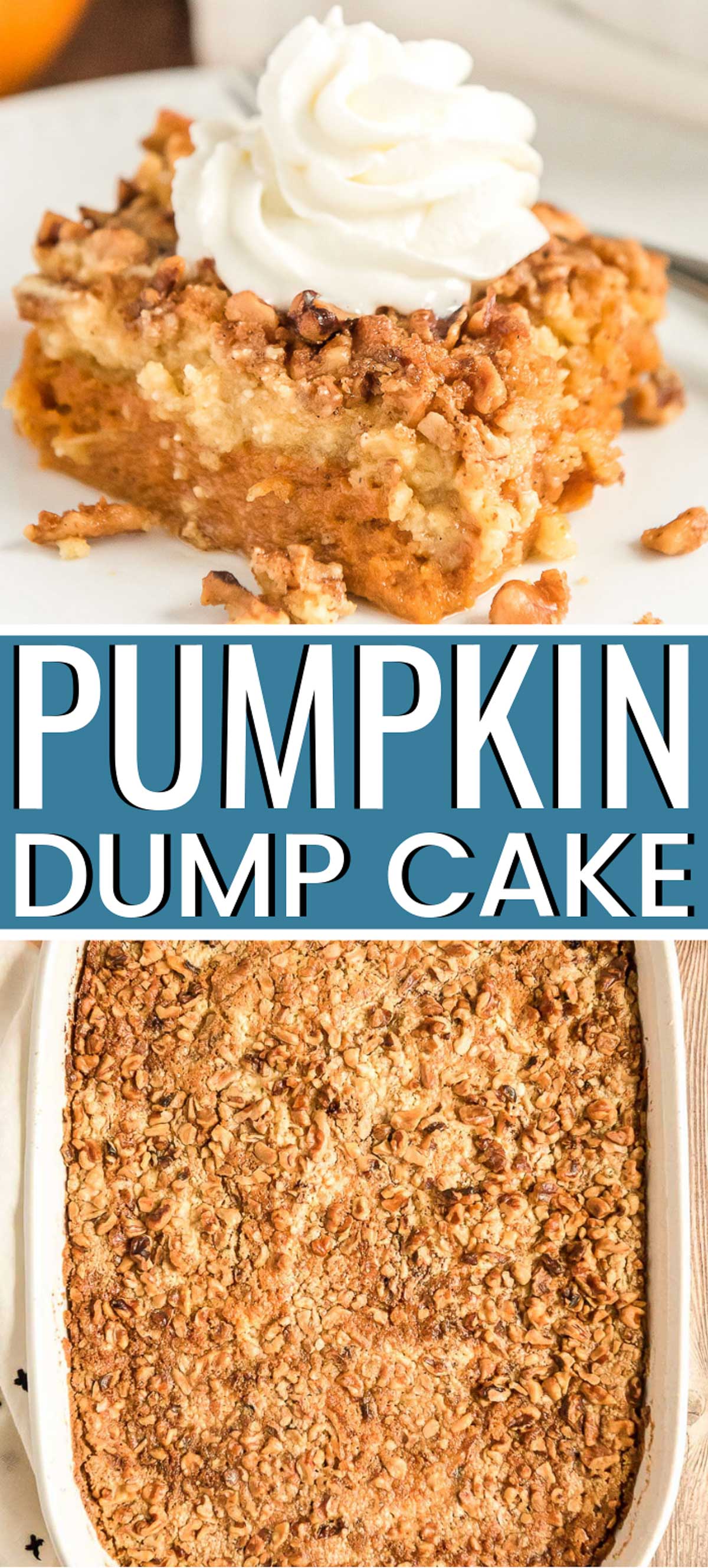 Pumpkin Dump Cake is the perfect fall dessert alternative to pumpkin pie! With a dense pumpkin base and a cake topping both loaded with Pumpkin Pie Spice and chopped nuts, this dessert's amazing layers will impress the whole family! via @sugarandsoulco