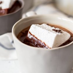 Homemade Marshmallows are the perfect way to dress up rich hot chocolate during the winter months. Package them up as gifts, or dip them in caramel and chocolate at the fondue bar!
