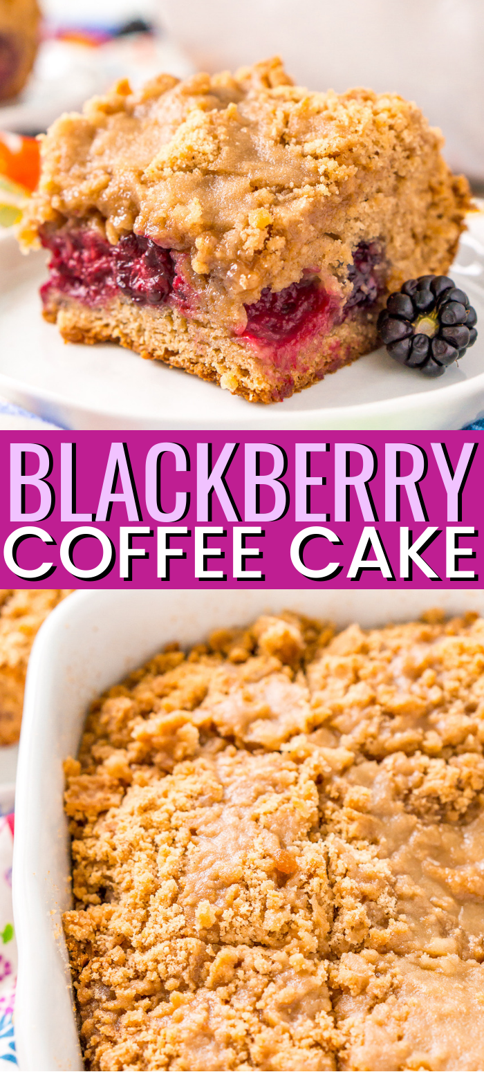 Blackberry Coffee Cake is a sweet breakfast cake loaded with brown sugar and a layer of fresh blackberries that are bursting with flavor! via @sugarandsoulco