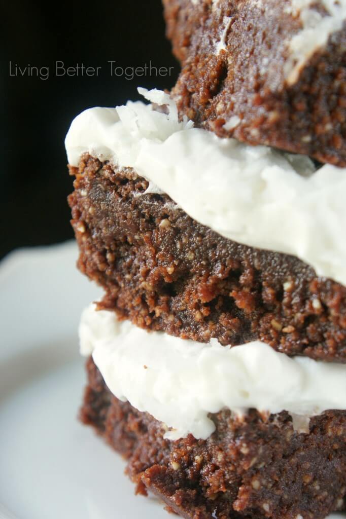 Gluten Free Coconut Cashew Brownies