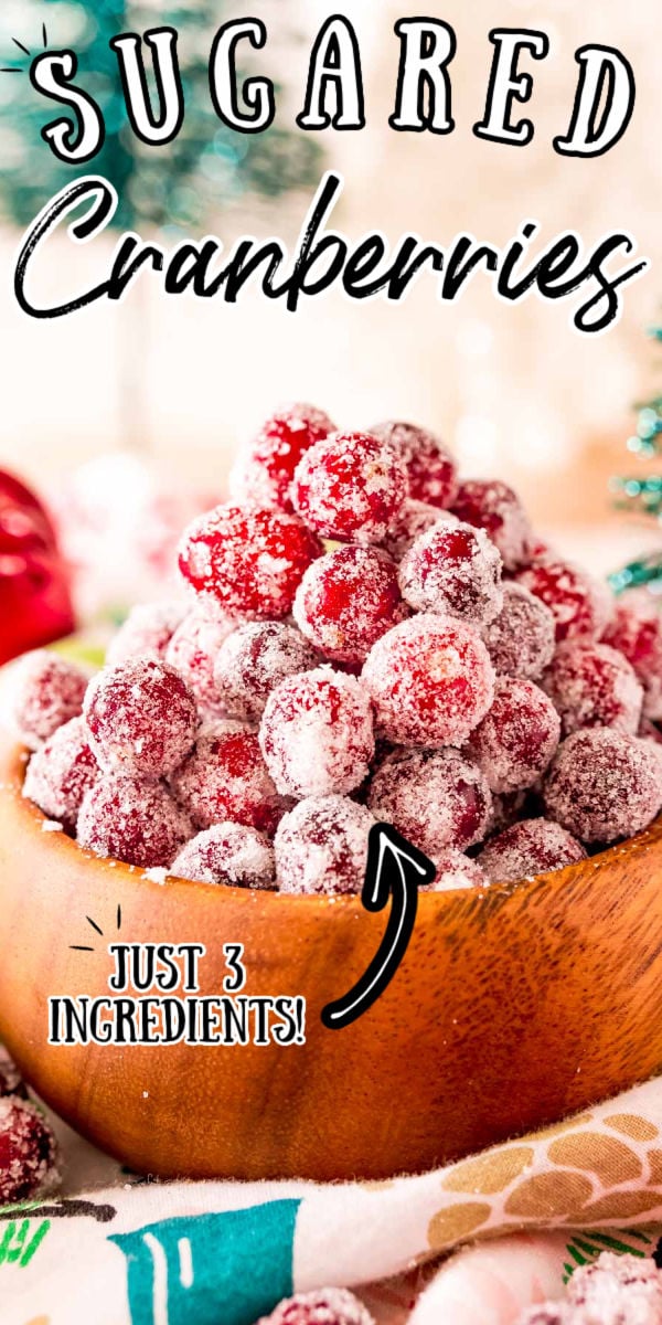 These Sugared Cranberries are so festive and easy to make right at home with just 3 ingredients! They can make any Christmas and Thanksgiving dessert or drink look impressive!!! via @sugarandsoulco