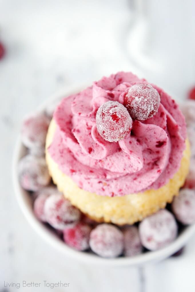 These White Chocolate Cranberry Cupcakes are the perfect mix of sweet and tart. Sugared cranberries finish them off and make them a great finish to any holiday or winter get together! Living Better Together