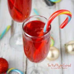 red ryder cocktail1 682x1024 1