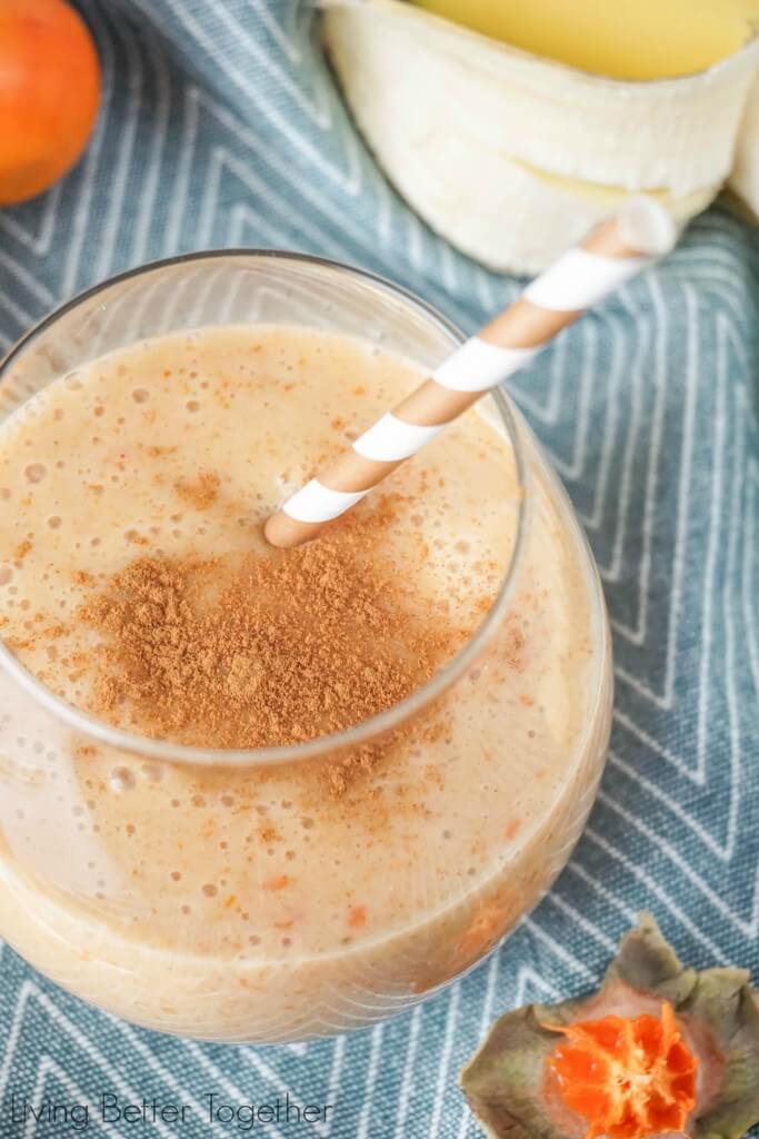 This Cinnamon Persimmon Banana Smoothie is a healthy and flavorful blend of sweet fruit and cinnamon and it's only 2 Weight Watchers PointsPlus! A perfect breakfast smoothie to kick off and new and better you!