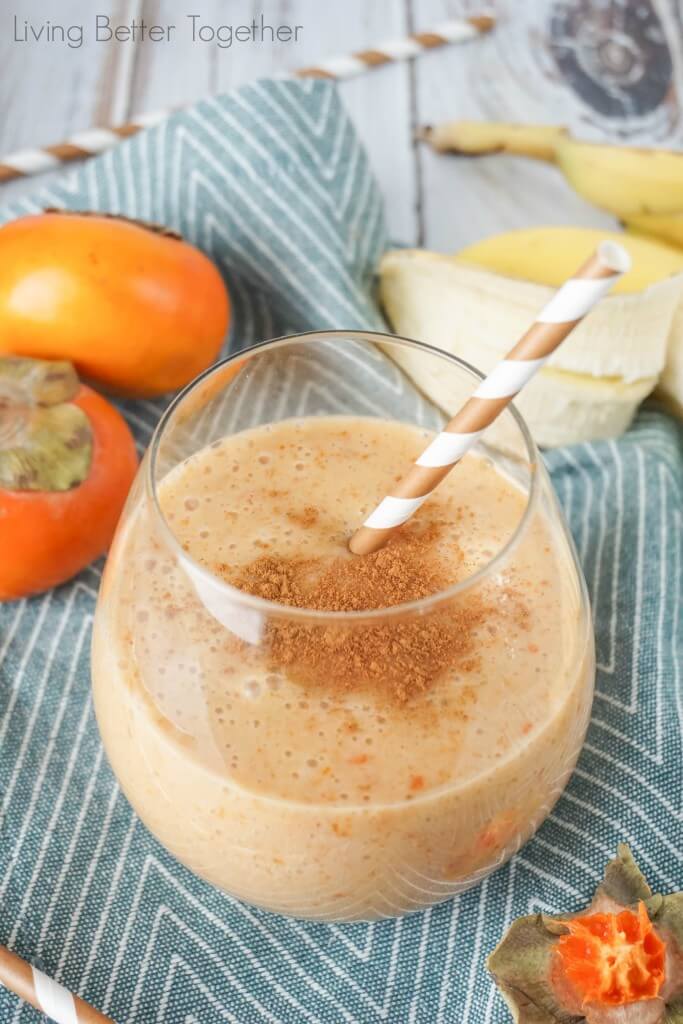 This Cinnamon Persimmon Banana Smoothie is a healthy and flavorful blend of sweet fruit and cinnamon and it's only 2 Weight Watchers PointsPlus! A perfect breakfast smoothie to kick off and new and better you!