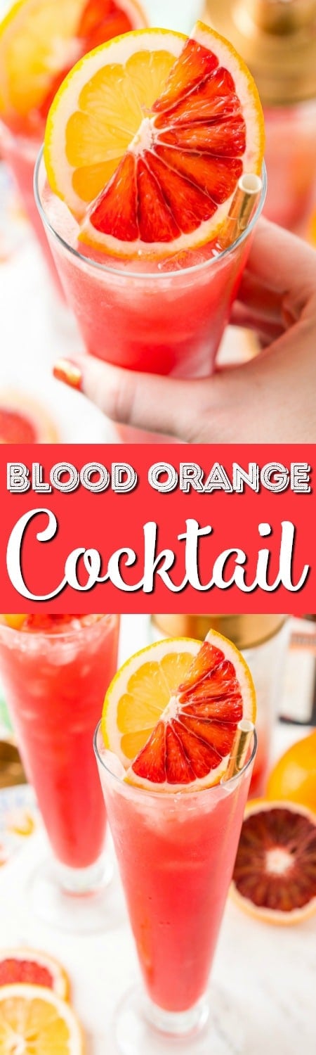 This Blood Orange Cocktail made with blood oranges, gin, lemon juice, citrus bitters, Cointreau, and ice. It's a sexy, fun, and tasty pink drink I call a Citrus Tango!