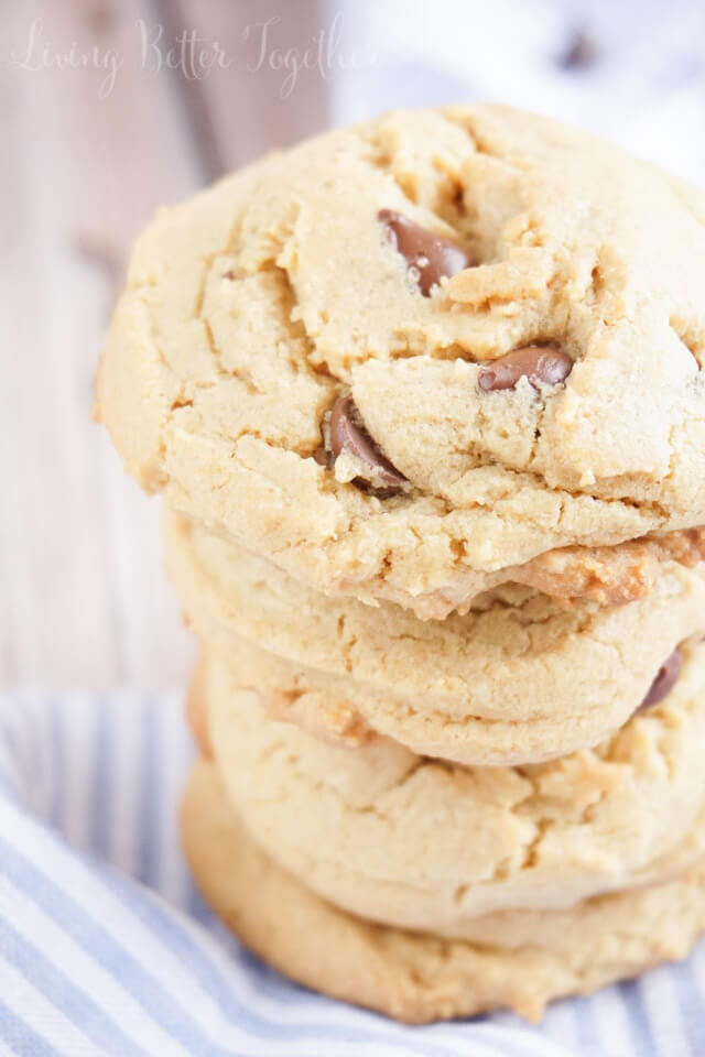 These Cookie Butter Chocolate Chip Cookies are laced with Speculoos Cookie Butter and loaded with chocolate chips. You won't be able to have just one or even five!