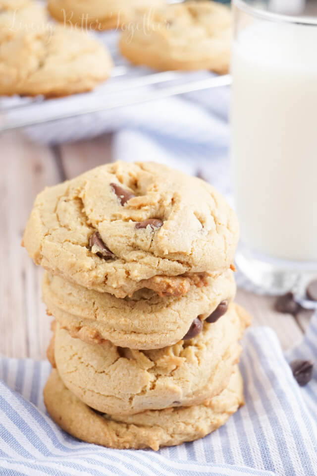 Cookie Butter Chocolate Chip Cookies