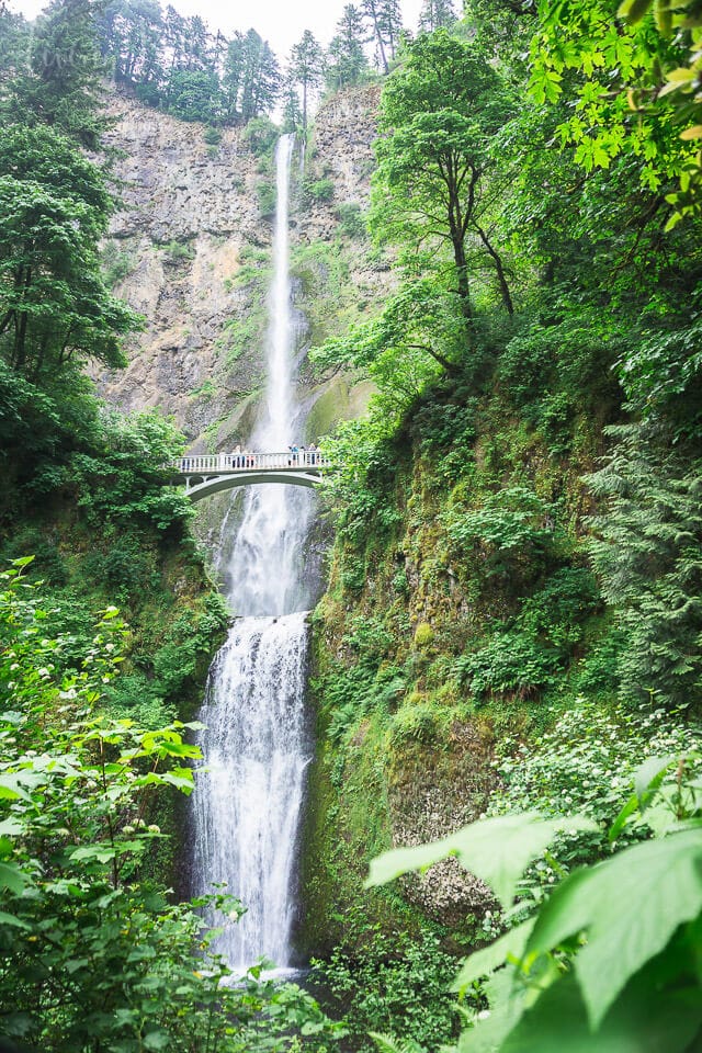 Multnomah Falls in Oregon - The second highest falls in the U.S.