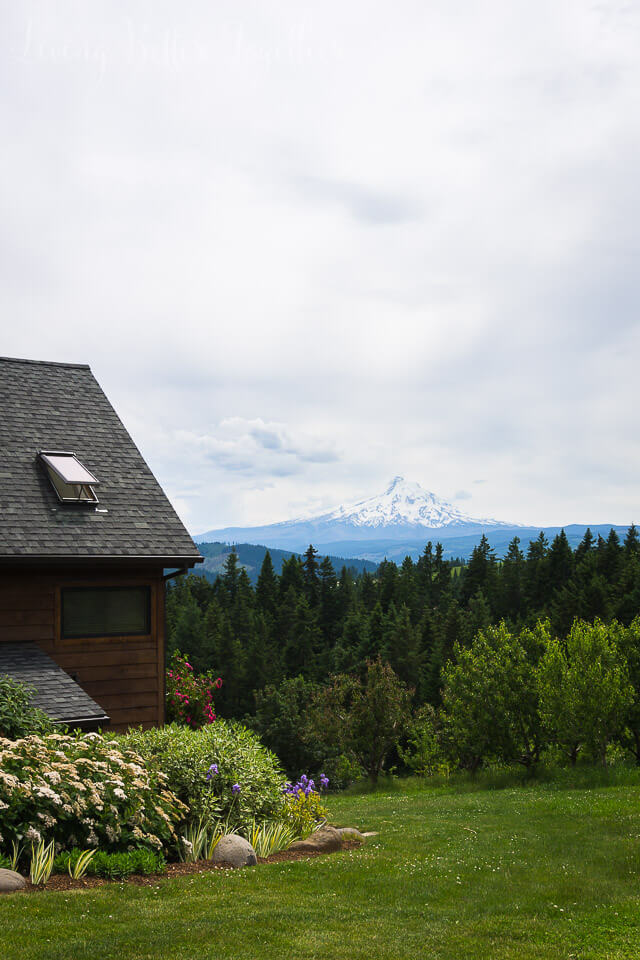 If you're visiting Oregon, you have to tour the Mt. Hood and Columbia River Gorge Scenic Loop.