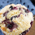 Single Buttermilk Blueberry Muffin