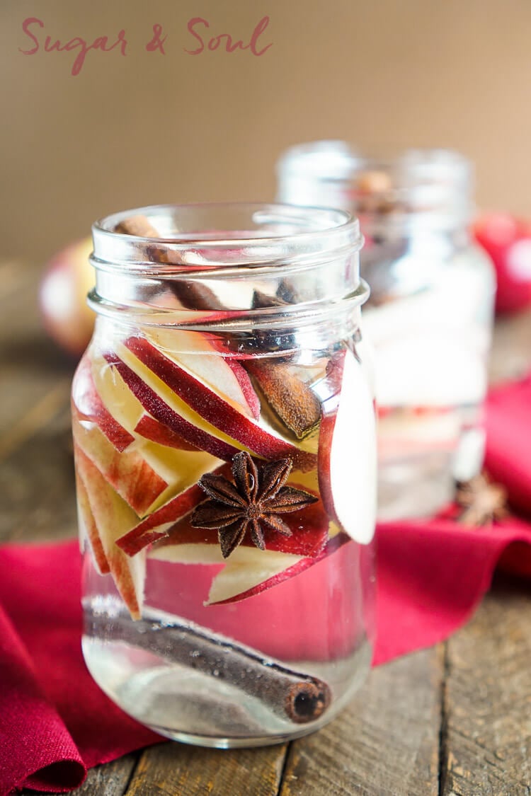 This Apple Spice Detox Water is a simple infusion and a great way to enjoy the flavors of the season without all the sugar!