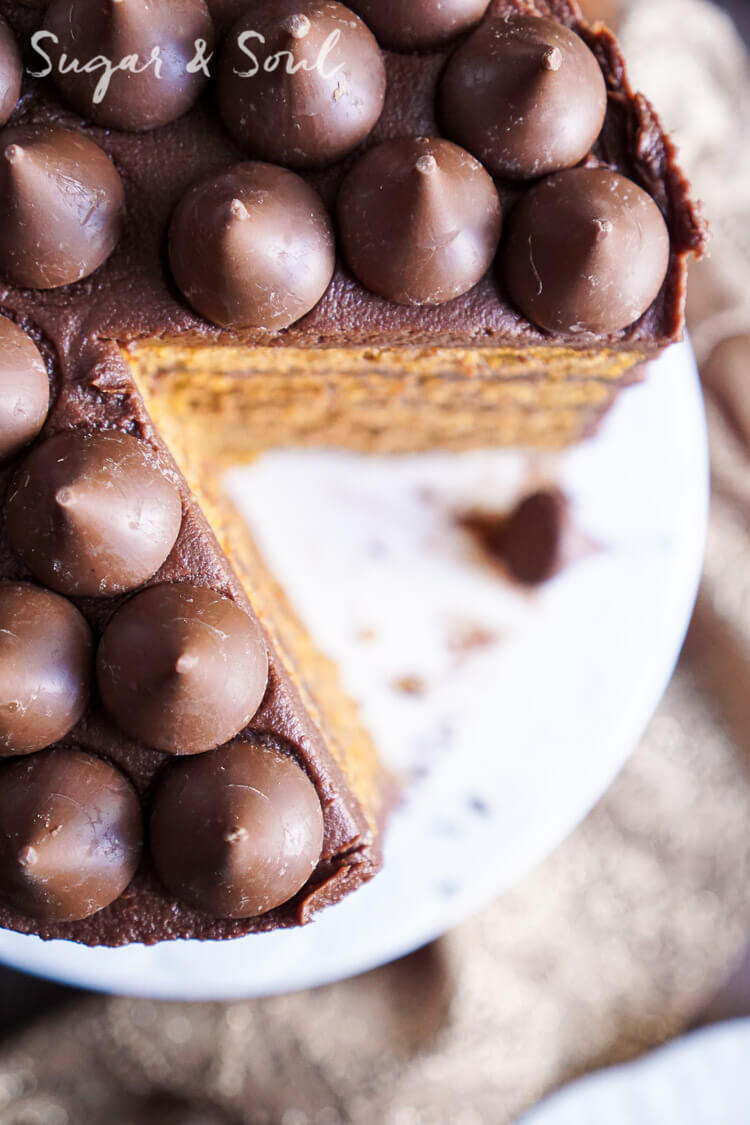 This Chocolate Pumpkin Cake is the ultimate pumpkin and chocolate combo for fall! Five layers of sweet and fluffy pumpkin cake wrapped in a whipped chocolate buttercream frosting!