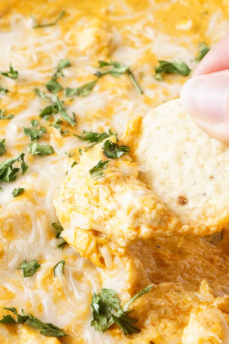 This Baked Buffalo Chicken Dip is made with real cream and blue cheeses, rotisserie chicken, hot sauce and spices for a sensational appetizer that's sure to please! Plus, it's ready in less than 30 minutes!