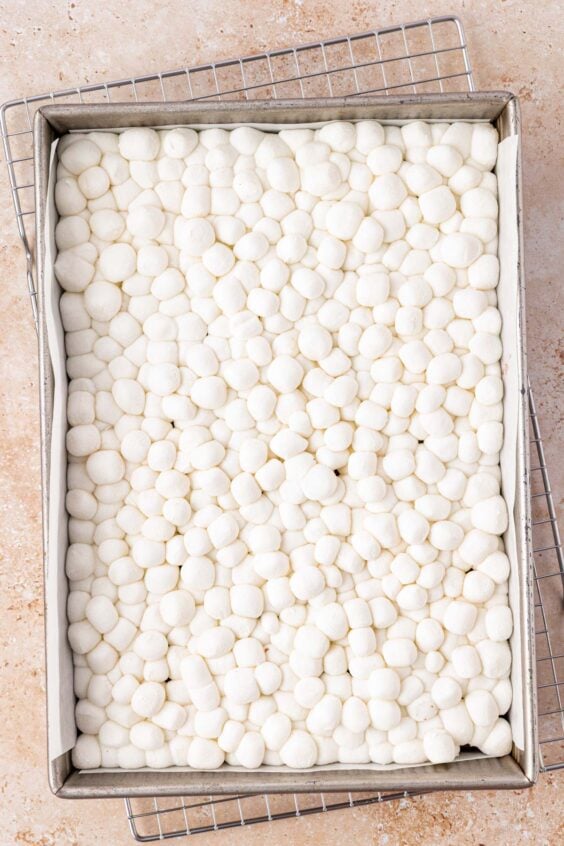 A batch of brownies with warmed marshmallows on top.