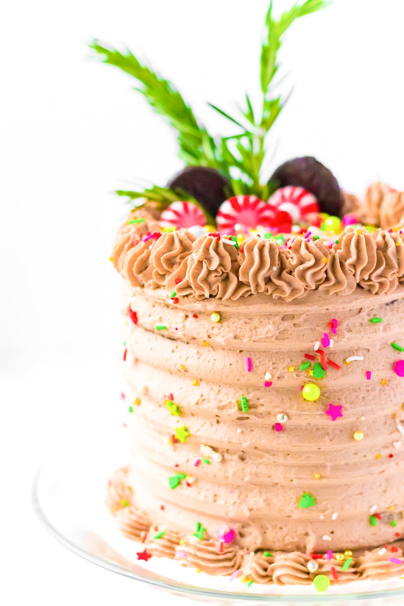 This Peppermint Cocoa Cake is rich, moist, and chocolaty with a whipped cream frosting that's laced with peppermint!