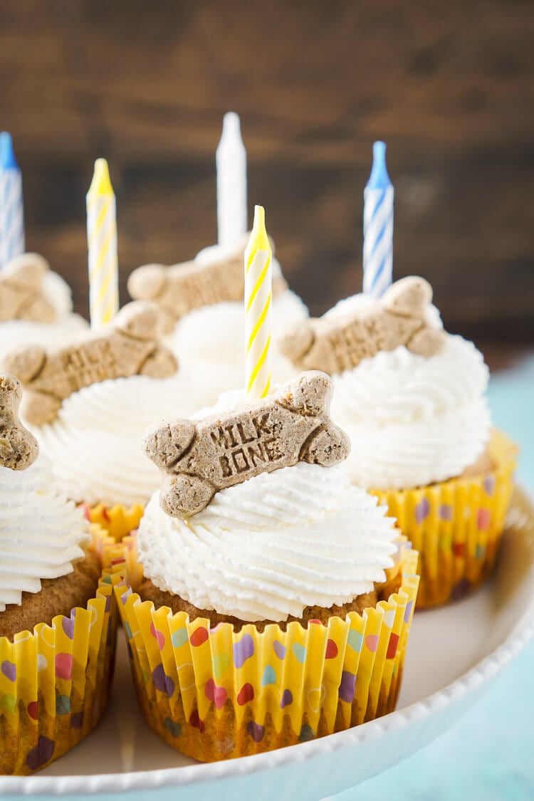 These Apple & Peanut Butter Pupcakes are a great homemade treat for your dog's birthday!