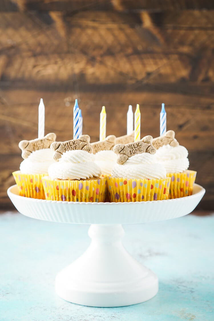 These Apple & Peanut Butter Pupcakes are a great homemade treat for your dog's birthday!