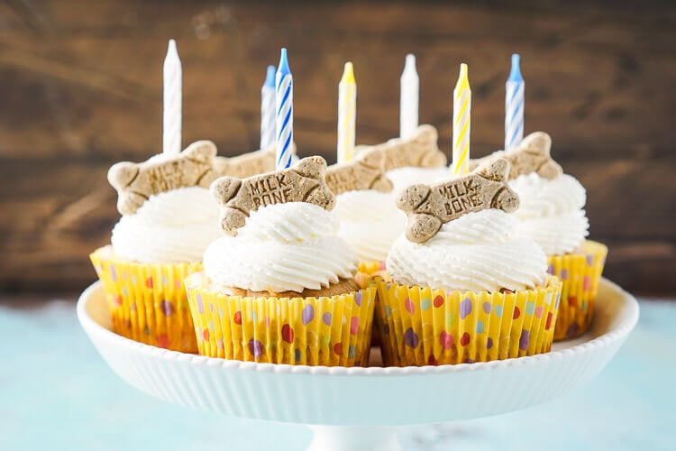 These Apple & Peanut Butter Pupcakes are a great homemade treat for your dog's birthday!