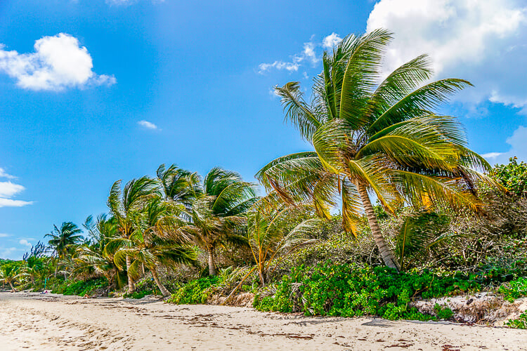 These Tips for Visiting Culebra Island, Puerto Rico will help you make the most of your trip!