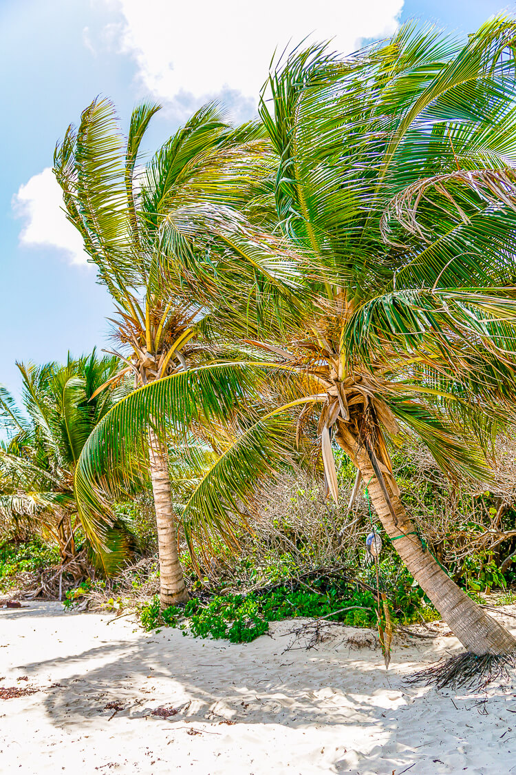 These Tips for Visiting Culebra Island, Puerto Rico will help you make the most of your trip!