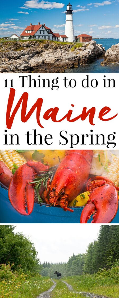 These 11 Things to do in Maine in the Spring will have you getting the most out of an off-season visit to the Pine Tree State! via @sugarandsoulco