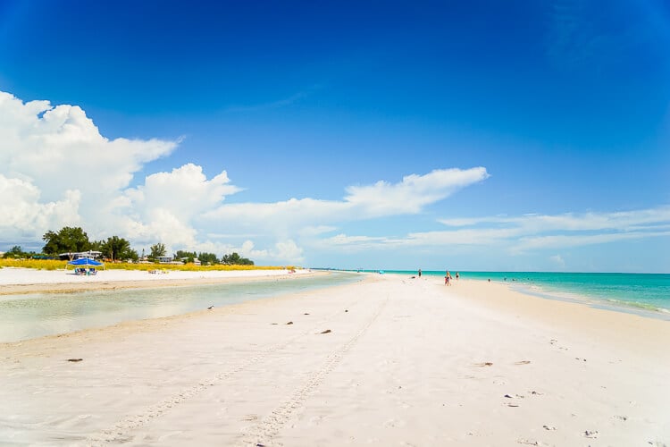 White Sand Beach Anna Maria Island