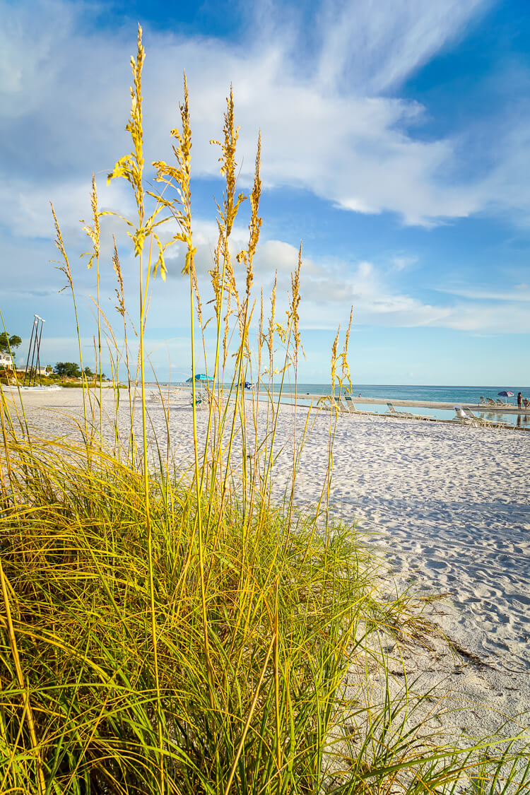 Anna Maria Island in Florida is the perfect vacation destination, a little sliver of heaven between Tampa Bay and the Gulf of Mexico.