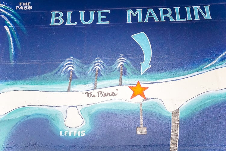 Blue Marlin Anna Maria Island