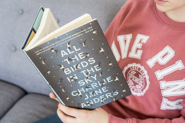 These 17 Books to Read This Winter are the best mix of fiction, fantasy, YA, chick lit, and historical fiction, there’s sure to be at least one you’ll want to add to your own to your own reading list!