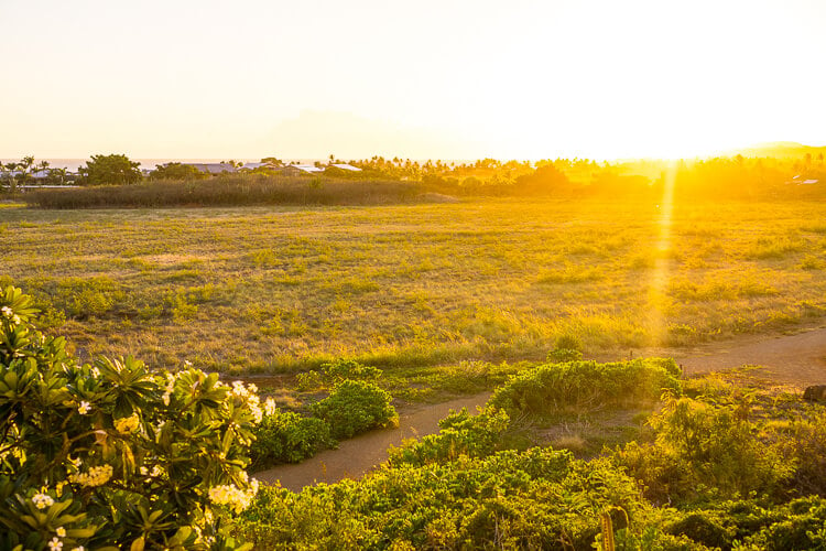 Planning a trip to Kauai, Hawaii? These are the 10 Best Places to Eat In Kauai, don’t miss them!