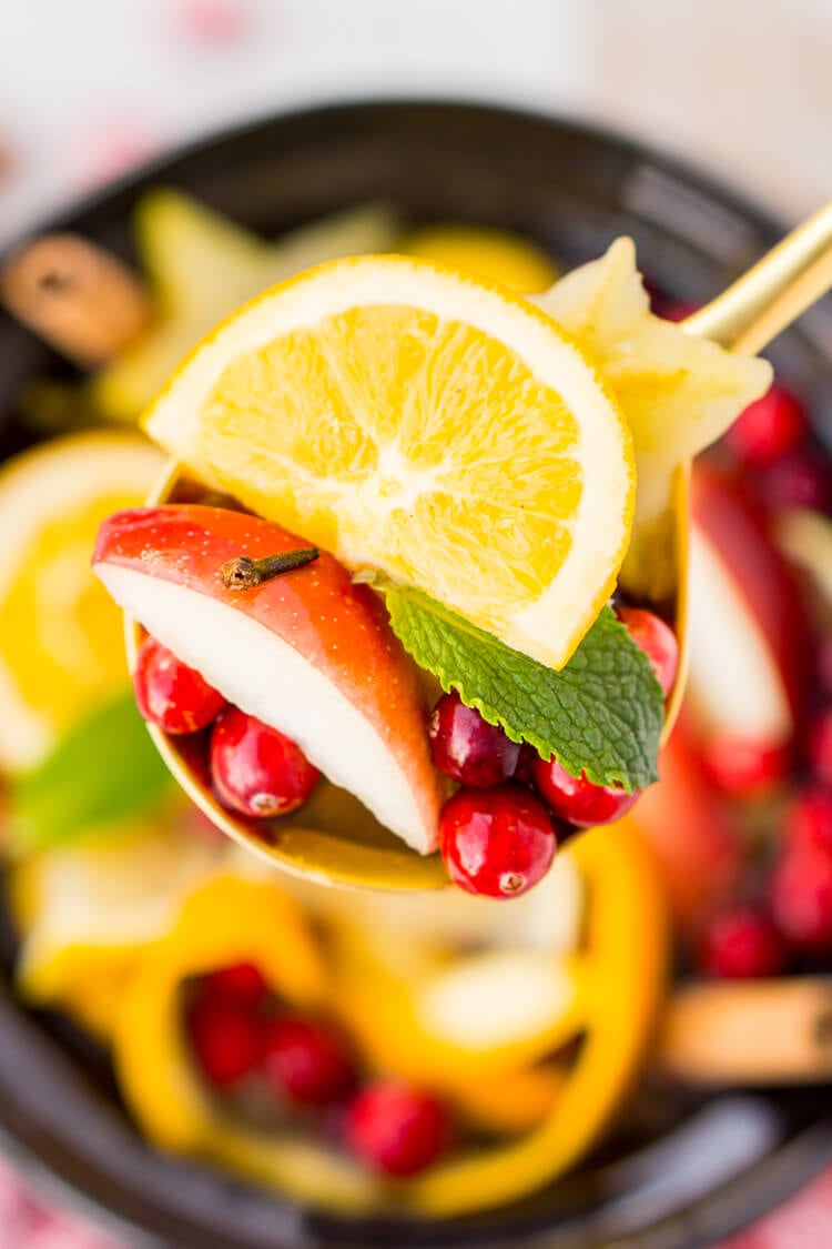 This DIY Holiday Crock Pot Potpourri will have your house smelling amazing all season long with sweet and spicy aromas of cranberries, oranges, mint, cloves, cinnamon, and more!