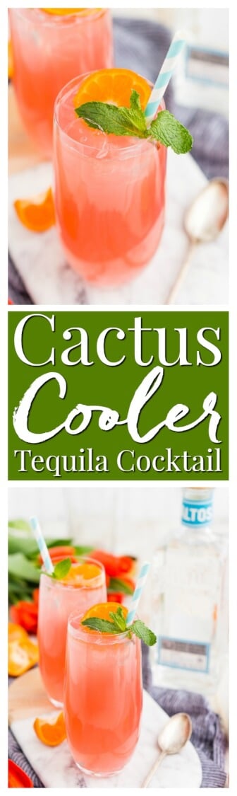 Cactus Cooler Tequila Cocktail is a blend of smooth artisan tequila with orange, tangerine, lime, and cranberry juice with a touch of triple sec and finished off with lemon-lime soda.
