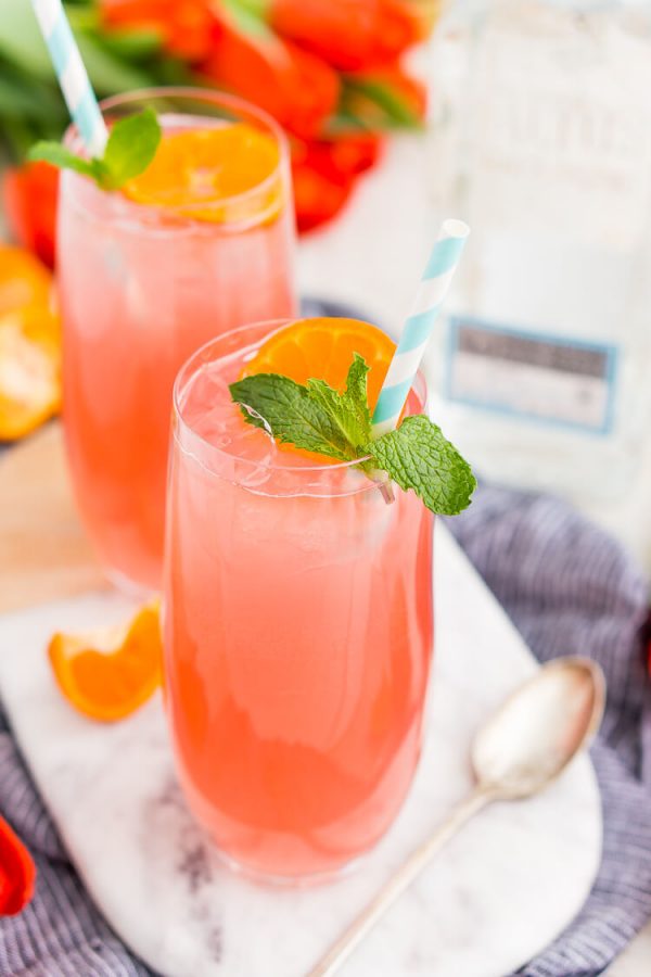 Cactus Cooler Tequila Cocktail Sugar and Soul