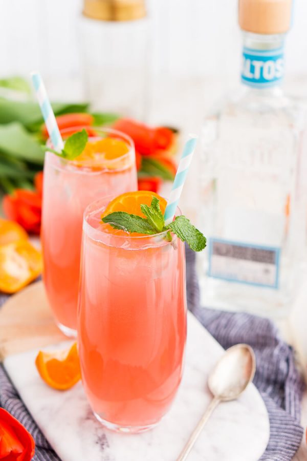 Cactus Cooler Tequila Cocktail Sugar and Soul