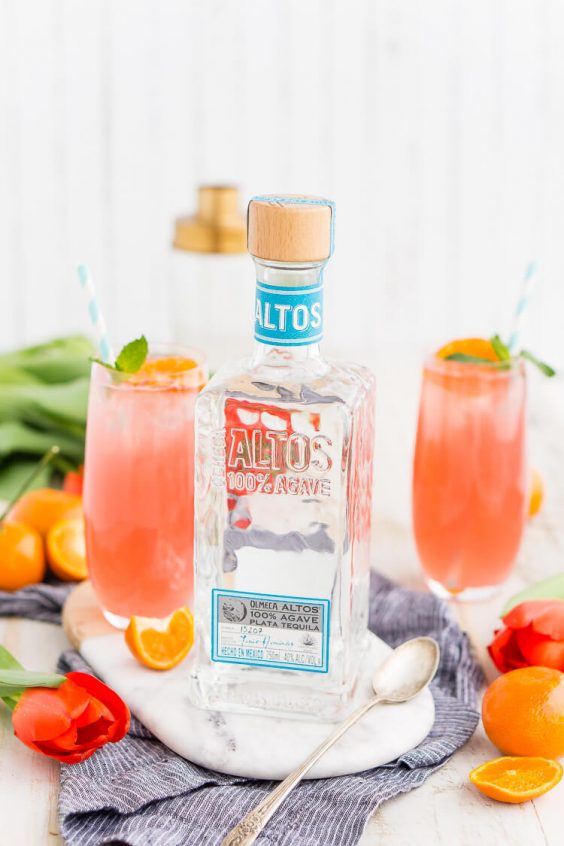 Cactus Cooler Tequila Cocktail Sugar and Soul