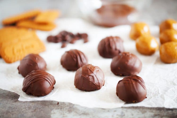 These Cookie Butter Balls are like classic peanut butter balls but made with cookie butter instead! An addition of graham crackers, sugar, and chocolate makes them a delicious holiday or everyday treat!