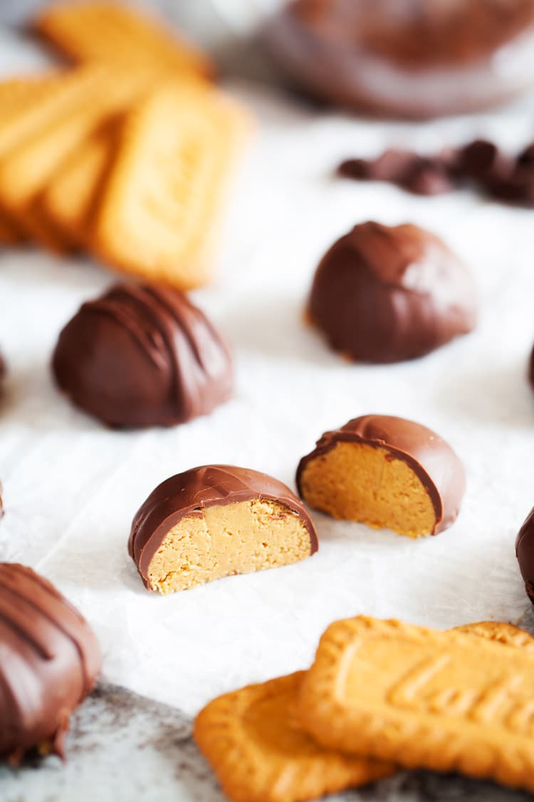 These Cookie Butter Balls are like classic peanut butter balls but made with cookie butter instead! An addition of graham crackers, sugar, and chocolate makes them a delicious holiday or everyday treat!