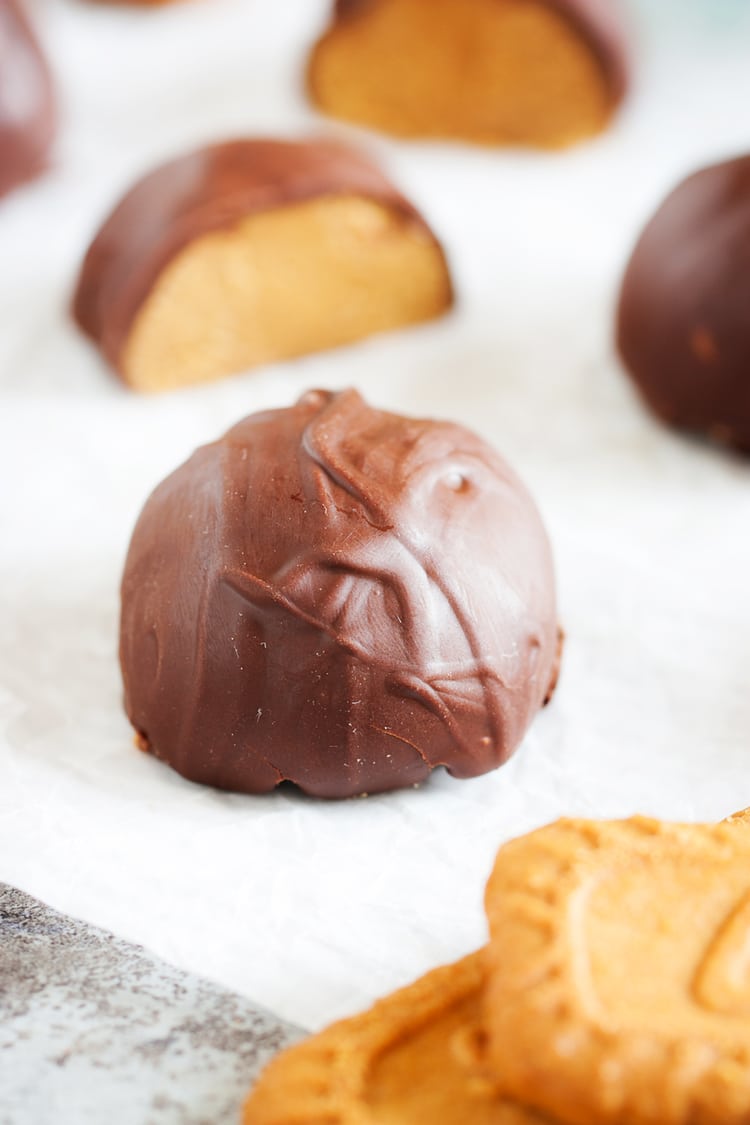 These Cookie Butter Balls are like classic peanut butter balls but made with cookie butter instead! An addition of graham crackers, sugar, and chocolate makes them a delicious holiday or everyday treat!