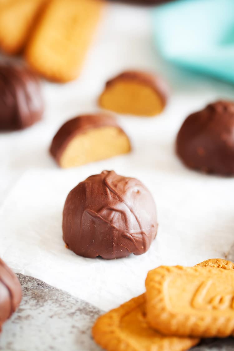 These Cookie Butter Balls are like classic peanut butter balls but made with cookie butter instead! An addition of graham crackers, sugar, and chocolate makes them a delicious holiday or everyday treat!