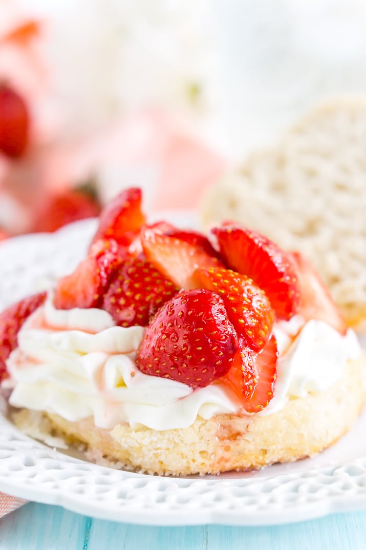 Strawberry Shortcake on a white plate on a blue table with strawberries in the background.