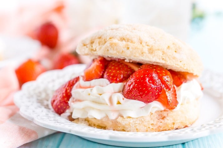 White plate with strawberry shortcake made with a biscuit, whipped cream, and macerated strawberries on it.