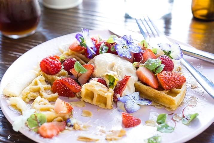 Sydney Brunch is an absolute must! The Australian city is filled with amazing spots to enjoy the delicious meal, here are 8 of my favorites!