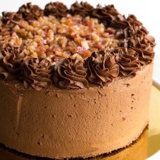 Brown Sugar Bacon Chocolate Cake is a decadent dessert layered with rich chocolate and candied bacon. One bite of this sweet & salty cake will have you falling in love!