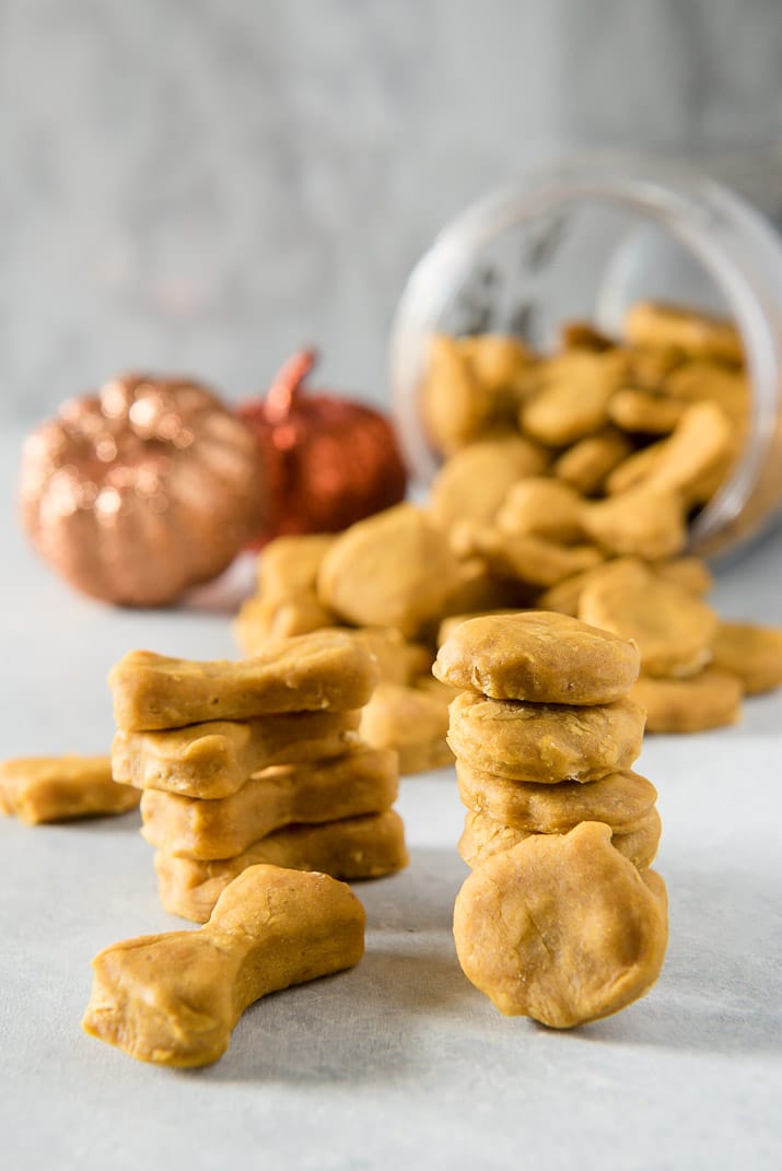 Why should humans get all the tasty fall desserts? Treat your pup to these homemade dog treats and let 'em revel in the season with you!