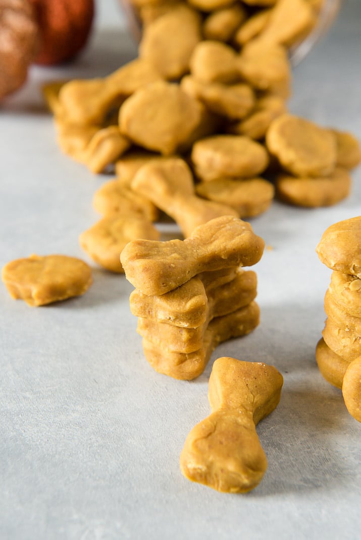 Why should humans get all the tasty fall desserts? Treat your pup to these homemade dog treats and let 'em revel in the season with you!