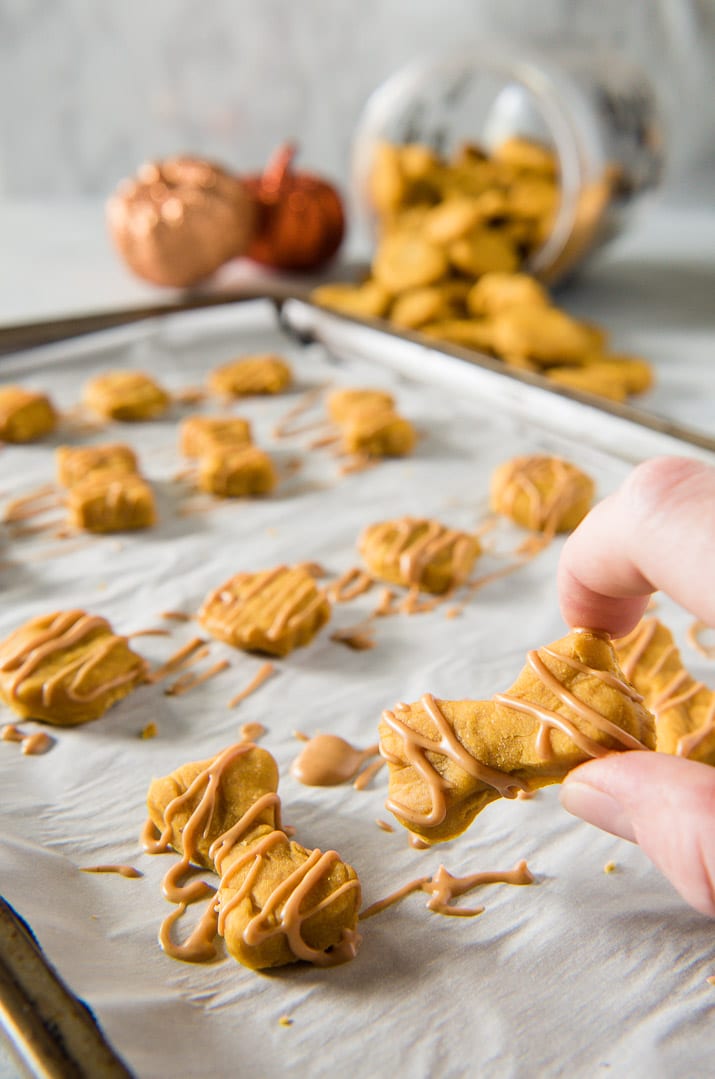 Why should humans get all the tasty fall desserts? Treat your pup to these homemade dog treats and let 'em revel in the season with you!